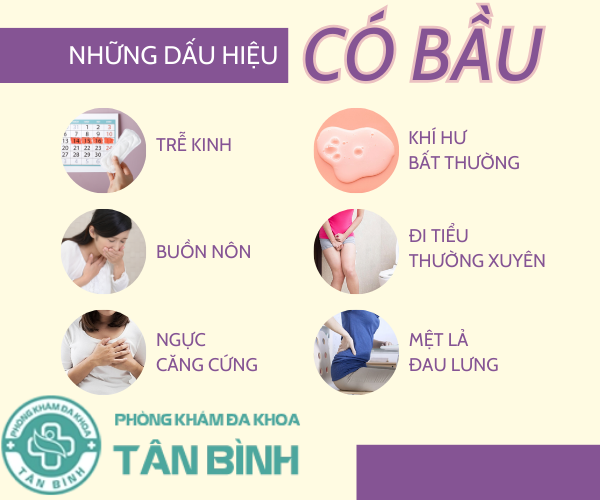 Điểm danh các dấu hiệu có bầu điển hình