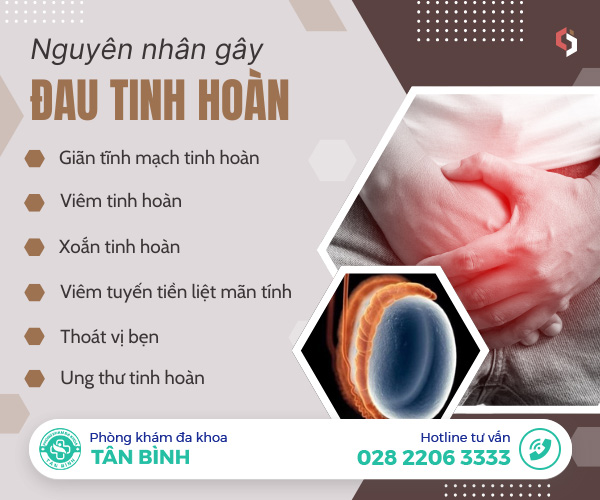 Nam giới đau tinh hoàn do bệnh gì? Làm sao để chữa khỏi?