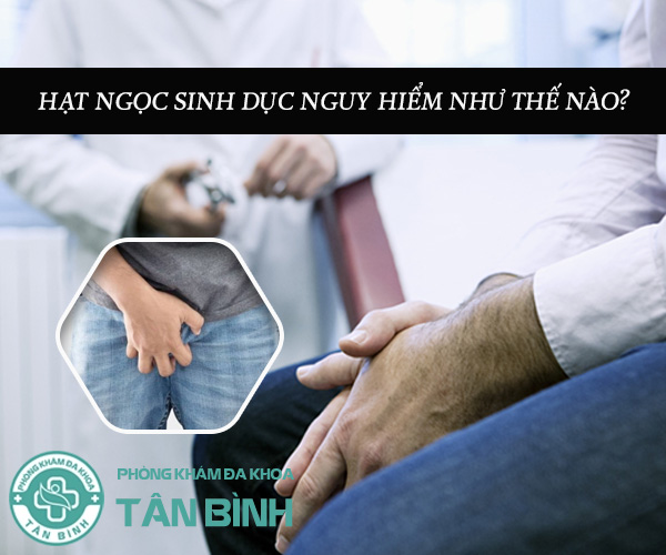 Nguyên nhân, hậu quả và cách trị hạt ngọc sinh dục