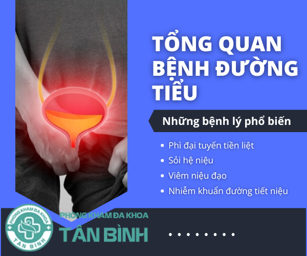 Tổng quan bệnh đường tiểu: Hiểu rõ để bảo vệ sức khỏe từ bên trong