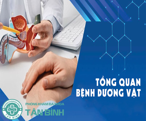 Tổng quan bệnh dương vật: Những điều nam giới không nên bỏ qua