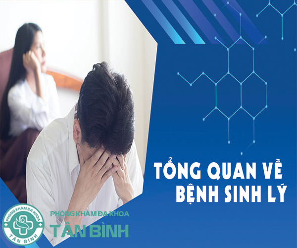 Tổng quan bệnh sinh lý nam: Hiểu đúng để cải thiện sức khỏe phái mạnh