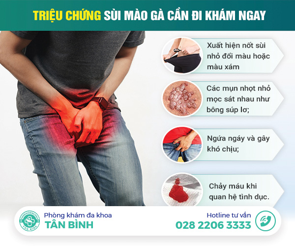 Triệu chứng bệnh sùi mào gà nhẹ: Nhận diện càng sớm càng dễ hỗ trợ điều trị