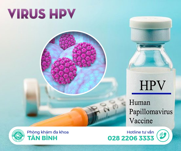 Virus HPV gây ra bệnh gì?