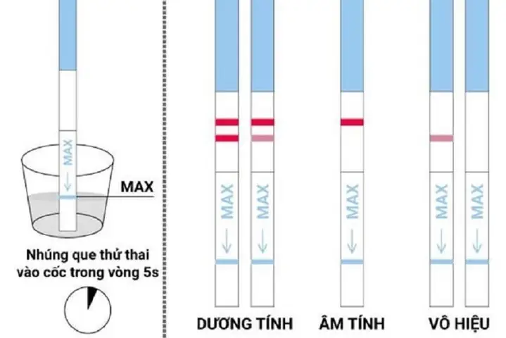 Que Thử Thai 2 Vạch Mờ: Có Thai Hay Không? Giải Đáp Chi Tiết Từ Chuyên Gia