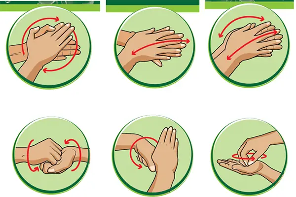 Bước Rửa Tay Đúng Cách Cho Trẻ Mầm Non Theo Chuẩn Bộ Y Tế