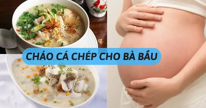 Ăn Cháo Cá Chép Sau Chuyển Phôi: Tăng Khả Năng Bám Dính, Hỗ Trợ An Thai