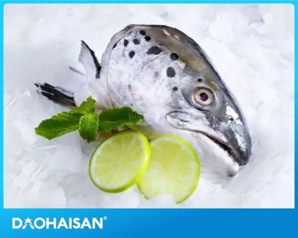 Đầu Cá Hồi: Ăn Có Tốt Không, Lợi Ích & Những Điều Cần Biết Đầu Cá Hồi: Ăn Có Tốt Không, Lợi Ích & Những Điều Cần Biết