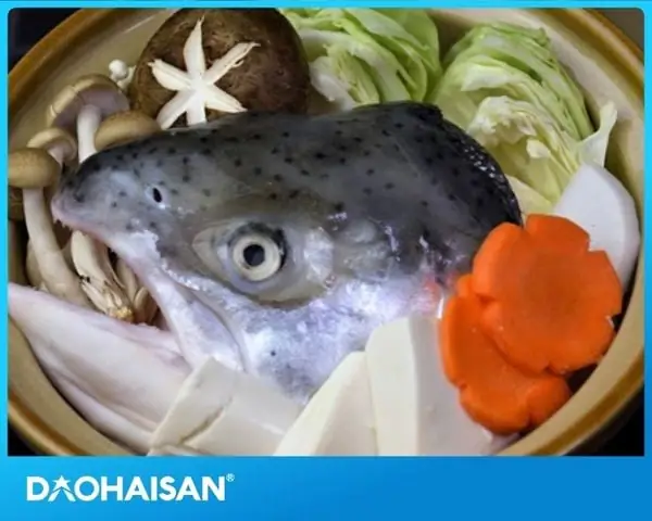 Đầu Cá Hồi: Ăn Có Tốt Không, Lợi Ích & Những Điều Cần Biết Đầu Cá Hồi: Ăn Có Tốt Không, Lợi Ích & Những Điều Cần Biết