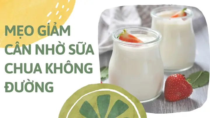 Ăn Sữa Chua Không Đường Đúng Cách Giúp Giảm Béo Hiệu Quả
