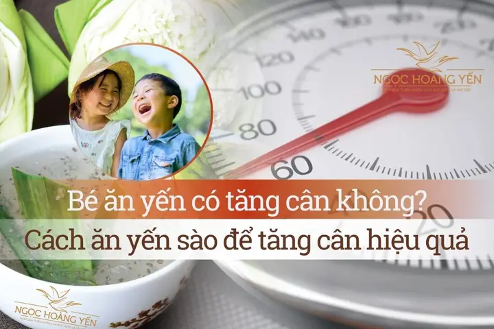 Ăn Yến Sào Có Tăng Cân Không? Giải Mã Lợi Ích Và Cách Dùng Hiệu Quả Ăn Yến Sào Có Tăng Cân Không? Giải Mã Lợi Ích Và Cách Dùng Hiệu Quả