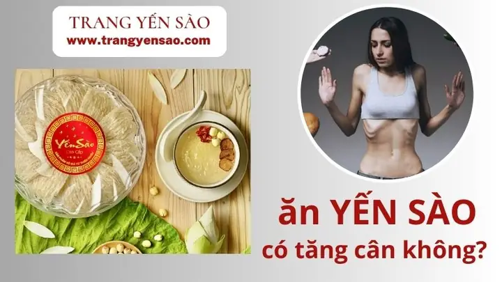 Ăn Yến Sào Có Tăng Cân Không? Giải Mã Lợi Ích Và Cách Dùng Hiệu Quả Ăn Yến Sào Có Tăng Cân Không? Giải Mã Lợi Ích Và Cách Dùng Hiệu Quả