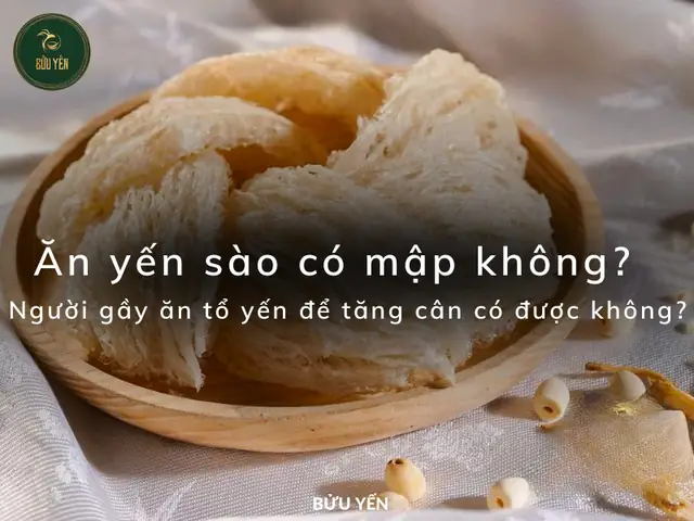 Ăn Yến Sào Có Tăng Cân Không? Giải Mã Lợi Ích Và Cách Dùng Hiệu Quả Ăn Yến Sào Có Tăng Cân Không? Giải Mã Lợi Ích Và Cách Dùng Hiệu Quả