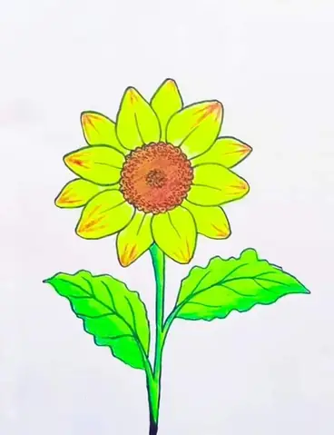 Hướng Dẫn Vẽ Hoa Hướng Dương Tự Vẽ: Từ Cơ Bản Đến Nâng Cao Cho Mọi Người Hướng Dẫn Vẽ Hoa Hướng Dương Tự Vẽ: Từ Cơ Bản Đến Nâng Cao Cho Mọi Người