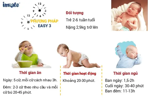 Hướng Dẫn Luyện Easy Cho Bé Sơ Sinh: Bí Kíp Thiết Lập Lịch Sinh Hoạt Khoa Học Hướng Dẫn Luyện Easy Cho Bé Sơ Sinh: Bí Kíp Thiết Lập Lịch Sinh Hoạt Khoa Học