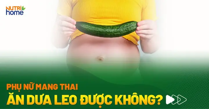 Bà Bầu Ăn Dưa Leo Được Không? Lợi Ích, Lưu Ý & Cách Ăn Đúng Bà Bầu Ăn Dưa Leo Được Không? Lợi Ích, Lưu Ý & Cách Ăn Đúng