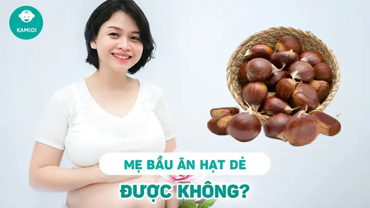 Bà Bầu Ăn Hạt Dẻ Rừng Có Tốt Không? Lợi Ích Và Lưu Ý Cần Biết Bà Bầu Ăn Hạt Dẻ Rừng Có Tốt Không? Lợi Ích Và Lưu Ý Cần Biết