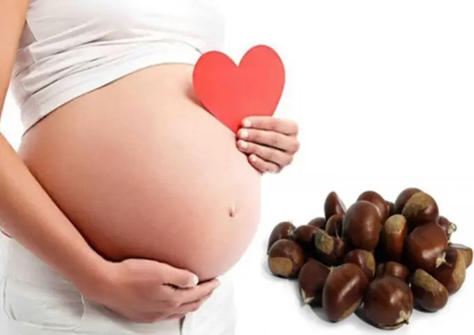 Bà Bầu Ăn Hạt Dẻ Rừng Có Tốt Không? Lợi Ích Và Lưu Ý Cần Biết Bà Bầu Ăn Hạt Dẻ Rừng Có Tốt Không? Lợi Ích Và Lưu Ý Cần Biết