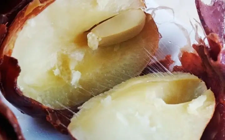 Bà Bầu Có Nên Ăn Hạt Sầu Riêng Luộc? Lợi Ích, Rủi Ro Và Lưu Ý