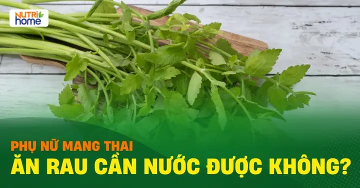 Bà Bầu Ăn Rau Diếp Cá Có Tốt Không? Lợi Ích Và Lưu Ý Cần Biết