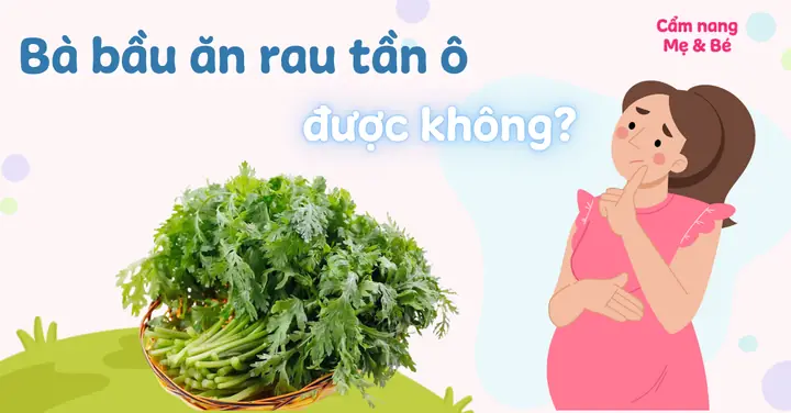 Bà Bầu Ăn Rau Tần Ô Được Không? Lưu Ý Vàng Và Lợi Ích Bất Ngờ