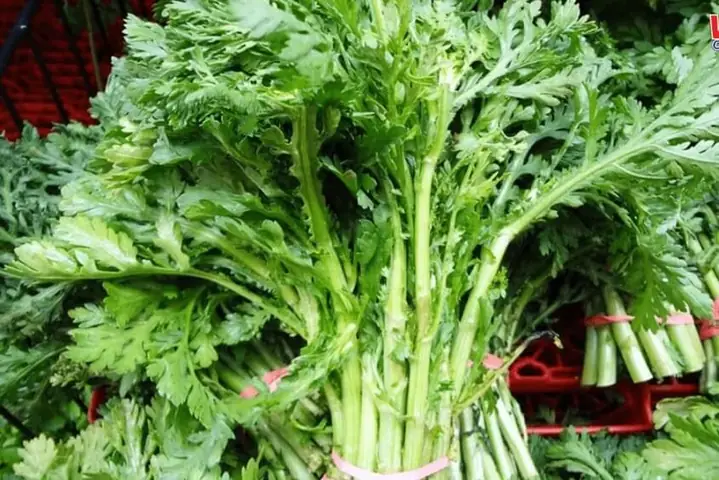 Bà Bầu Ăn Rau Tần Ô Được Không? Lưu Ý Vàng Và Lợi Ích Bất Ngờ