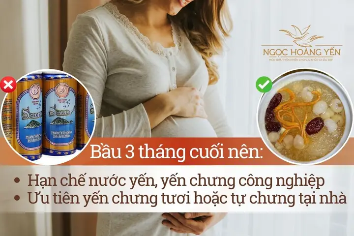 Bà Bầu Ăn Yến Tháng Cuối: Lợi Ích, Liều Lượng Và Lưu Ý Quan Trọng