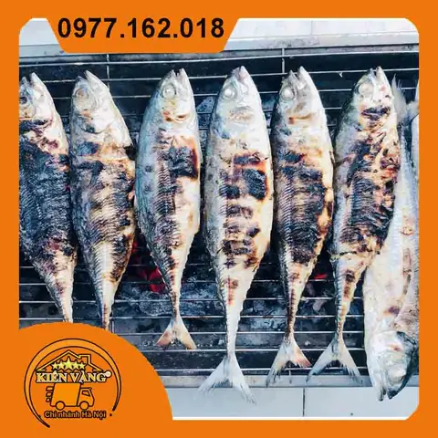 Bà Bầu Ăn Cá Song Được Không? Lợi Ích Và Lưu Ý Quan Trọng Bà Bầu Ăn Cá Song Được Không? Lợi Ích Và Lưu Ý Quan Trọng