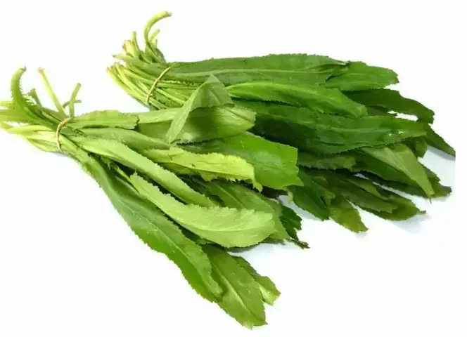 Bà Bầu Ăn Rau Mùi Có Được Không? Lời Khuyên Từ Chuyên Gia Dinh Dưỡng