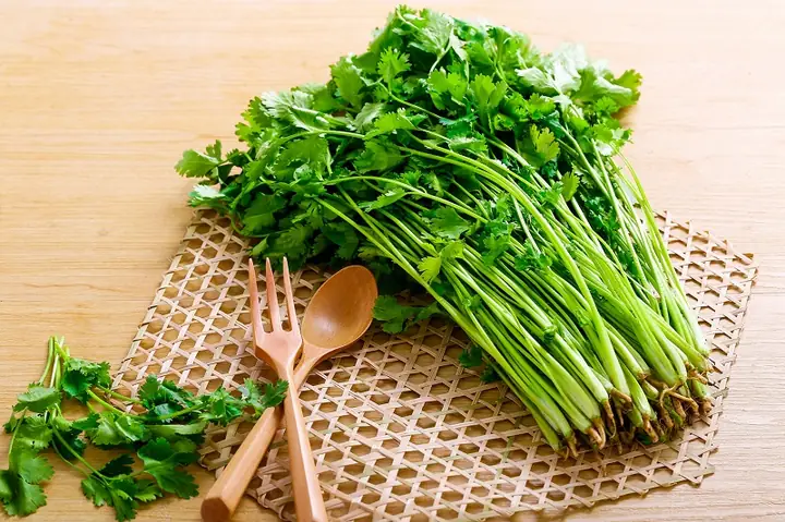 Bà Bầu Ăn Rau Mùi Có Được Không? Lời Khuyên Từ Chuyên Gia Dinh Dưỡng