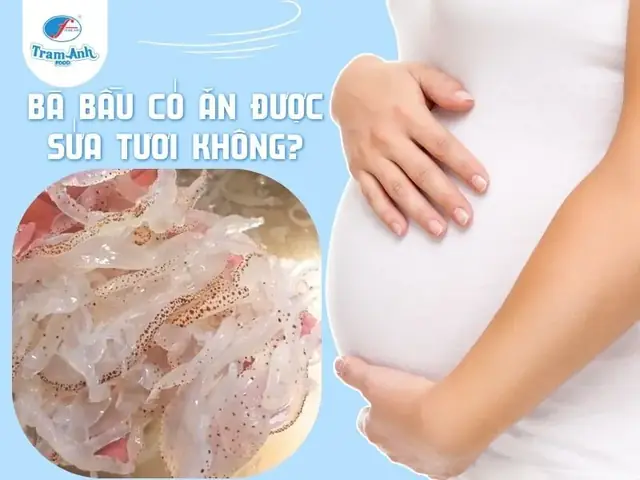 Bà Bầu Ăn Sứa Được Không? Lợi Ích, Rủi Ro Và Cách Chế Biến An Toàn Bà Bầu Ăn Sứa Được Không? Lợi Ích, Rủi Ro Và Cách Chế Biến An Toàn
