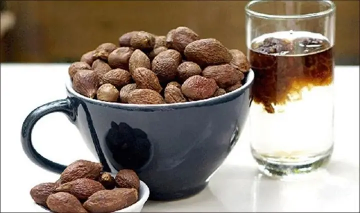 Bà Bầu Có Được Ăn Hạt Đười Ươi Không? Lợi Ích, Cách Dùng Và Lưu Ý Quan Trọng Bà Bầu Có Được Ăn Hạt Đười Ươi Không? Lợi Ích, Cách Dùng Và Lưu Ý Quan Trọng