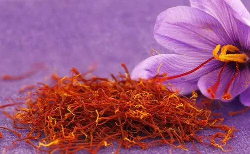 Bà Bầu Uống Nhuỵ Hoa Nghệ Tây Được Không? Lưu Ý Quan Trọng Từ Chuyên Gia