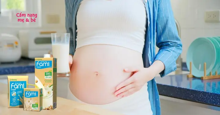 Bà Bầu Có Được Uống Sữa Fami Không? Lợi Ích Và Lưu Ý An Toàn