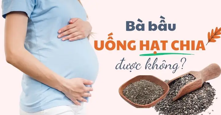 Bà Bầu Có Nên Ăn Hạt Chia Không? Lợi Ích, Lưu Ý An Toàn Cho Thai Kỳ