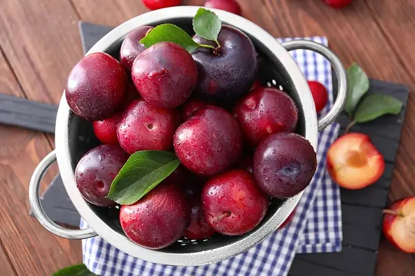 Bà Bầu Có Nên Ăn Mận Quân Không? Lợi Ích Và Lưu Ý Quan Trọng