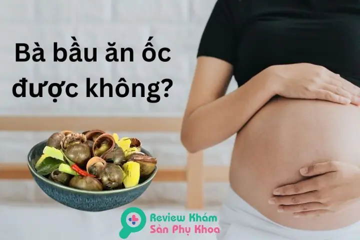 Bà Bầu 3 Tháng Đầu Ăn Ốc Có Được Không? Lợi Ích, Rủi Ro Và Cách Ăn An Toàn Bà Bầu 3 Tháng Đầu Ăn Ốc Có Được Không? Lợi Ích, Rủi Ro Và Cách Ăn An Toàn