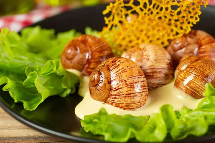 Bà Bầu 3 Tháng Đầu Ăn Ốc Có Được Không? Lợi Ích, Rủi Ro Và Cách Ăn An Toàn Bà Bầu 3 Tháng Đầu Ăn Ốc Có Được Không? Lợi Ích, Rủi Ro Và Cách Ăn An Toàn