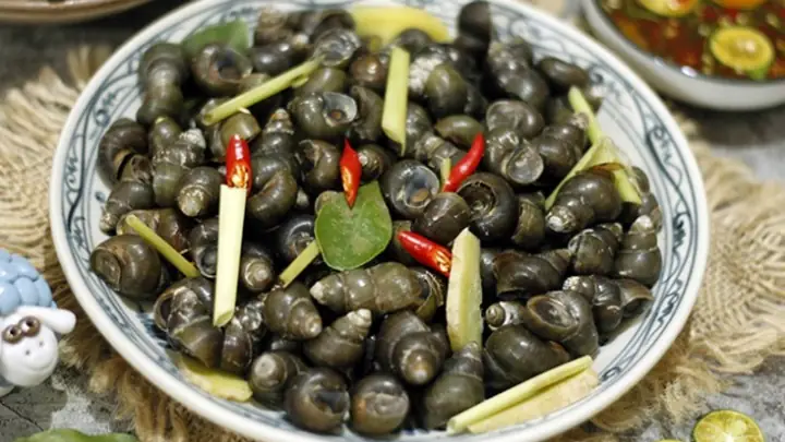 Bà Bầu 3 Tháng Đầu Ăn Ốc Có Được Không? Lợi Ích, Rủi Ro Và Cách Ăn An Toàn Bà Bầu 3 Tháng Đầu Ăn Ốc Có Được Không? Lợi Ích, Rủi Ro Và Cách Ăn An Toàn