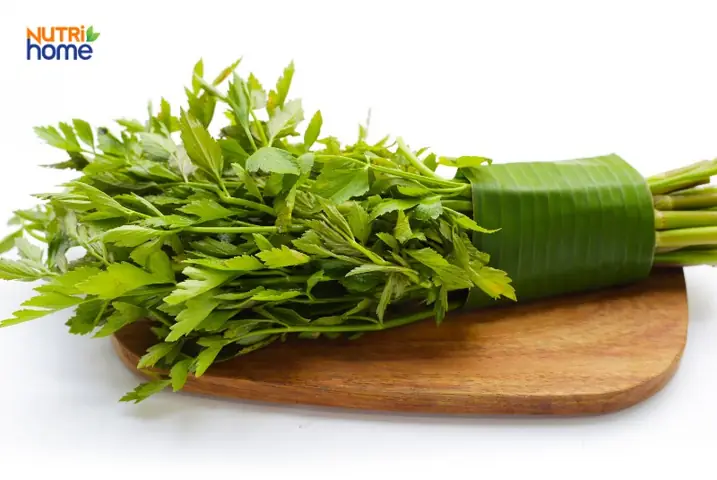 Bà Bầu Ăn Rau Cần Được Không? Lợi Ích & Lưu Ý Quan Trọng