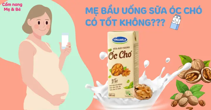 Bà Bầu Uống Sữa Óc Chó Được Không? Lợi Ích & Lưu Ý Quan Trọng
