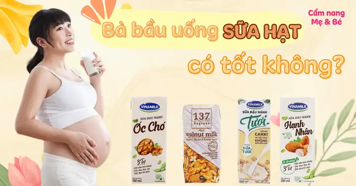 Bà Bầu Nên Uống Sữa Gì Tốt Nhất Cho Thai Kỳ Khỏe Mạnh?