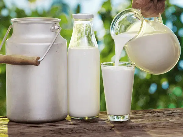 Bà Bầu Uống Sữa Tươi Có Đường Được Không? Lợi Ích Và Lưu Ý Quan Trọng Bà Bầu Uống Sữa Tươi Có Đường Được Không? Lợi Ích Và Lưu Ý Quan Trọng