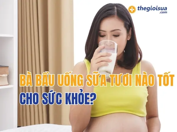 Bà Bầu Có Nên Uống Sữa Tươi Mộc Châu Không? Lợi Ích & Lưu Ý Quan Trọng