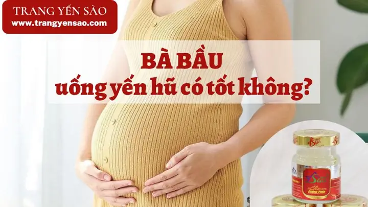 Bà Bầu Uống Yến Chưng Được Không? Lợi Ích & Cách Dùng An Toàn Từ Chuyên Gia
