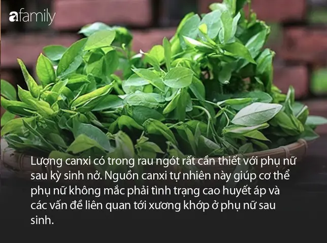 Bà Đẻ Ăn Rau Ngót Nhiều Có Tốt Không? Lợi Ích & Lưu Ý Cần Biết