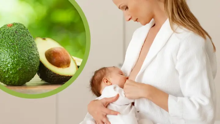 Bà Đẻ Ăn Bơ Được Không? Lợi Ích, Lưu Ý Quan Trọng & Thời Điểm Tốt Nhất Bà Đẻ Ăn Bơ Được Không? Lợi Ích, Lưu Ý Quan Trọng & Thời Điểm Tốt Nhất