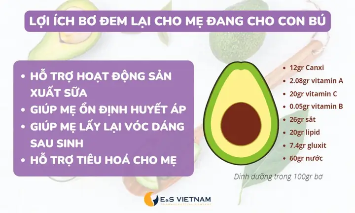 Bà Đẻ Ăn Bơ Được Không? Lợi Ích, Lưu Ý Quan Trọng & Thời Điểm Tốt Nhất Bà Đẻ Ăn Bơ Được Không? Lợi Ích, Lưu Ý Quan Trọng & Thời Điểm Tốt Nhất