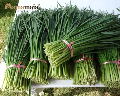 Bà Đẻ Ăn Rau Hẹ Được Không? Lợi Ích Và Lưu Ý Không Thể Bỏ Qua Bà Đẻ Ăn Rau Hẹ Được Không? Lợi Ích Và Lưu Ý Không Thể Bỏ Qua