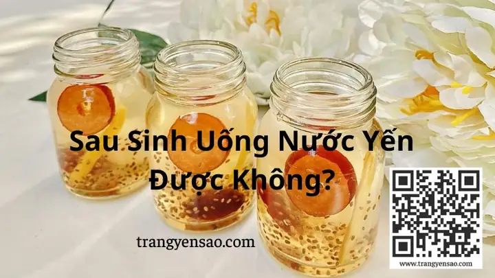 Bà Đẻ Có Nên Uống Nước Yến Không? Thời Điểm & Lợi Ích Vàng